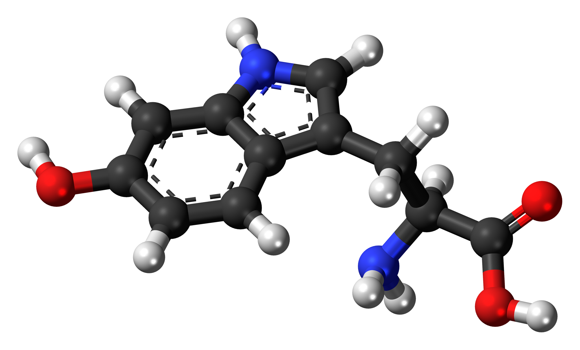 Clinical Melatonin Applications: Expert Insights and Research