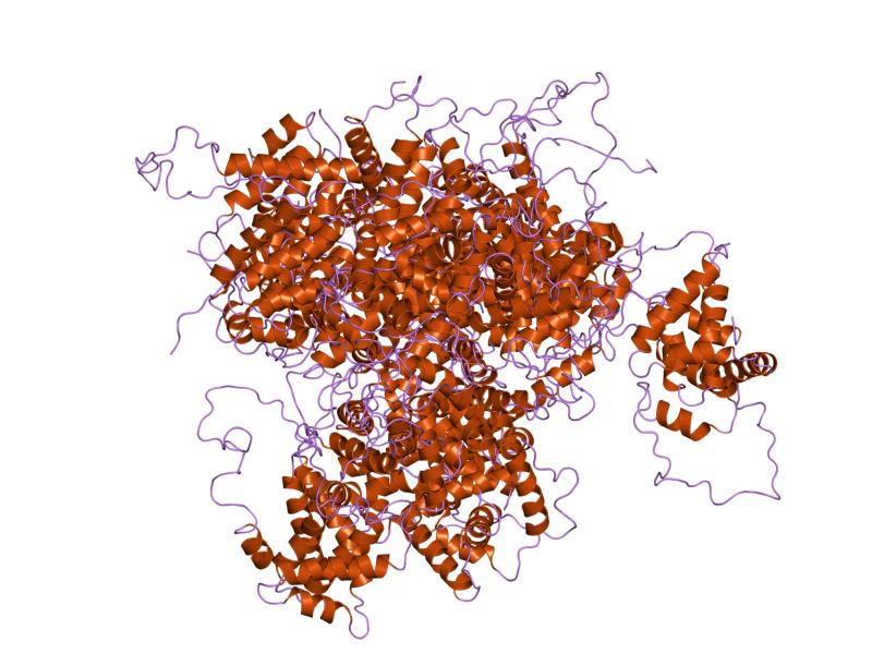 What Defines a High-Quality Peptide Bioregulator?