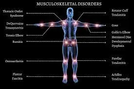 Joint & Tendon Peptide Support